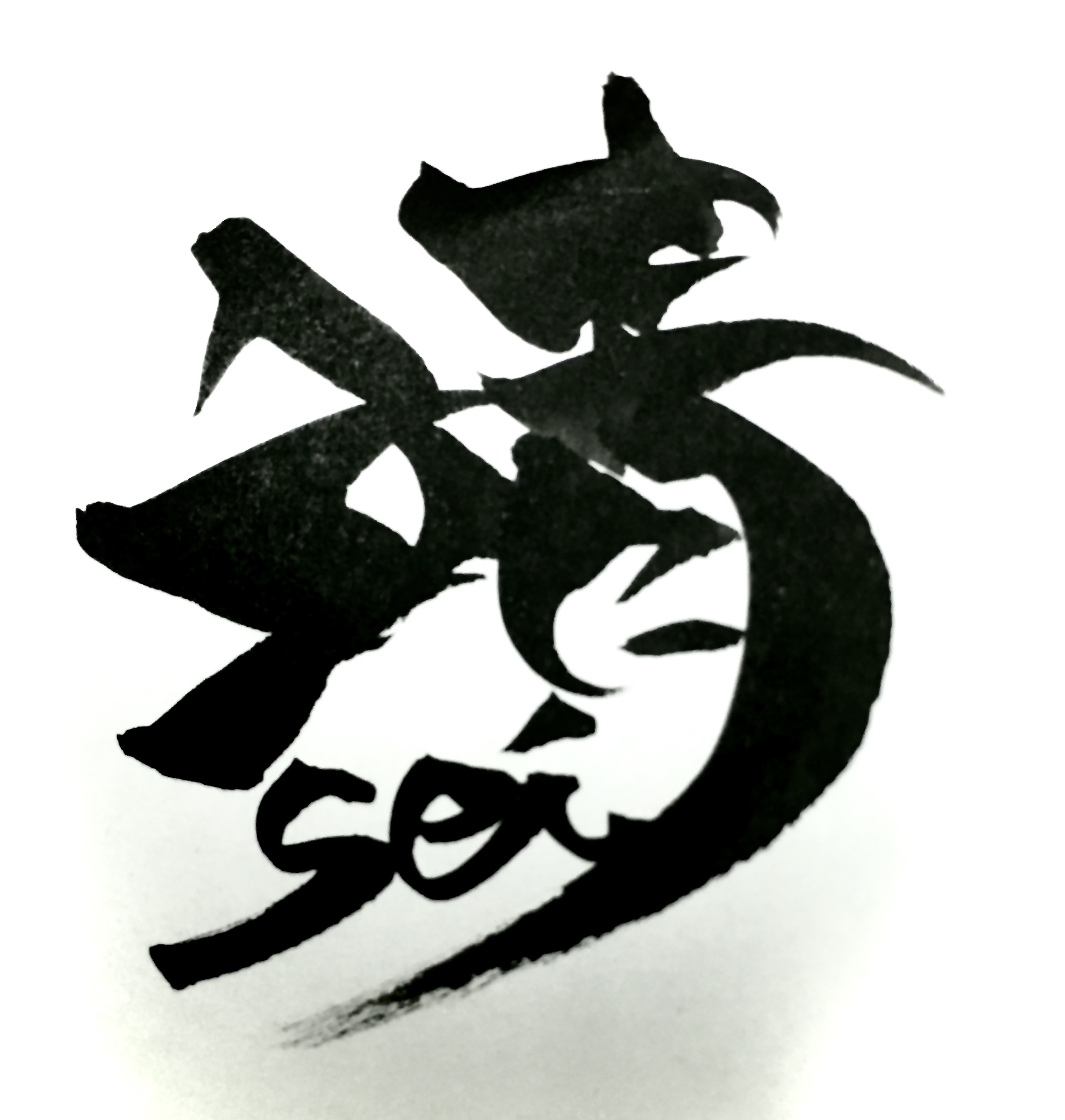 和柄Tシャツ工房 靖-sei